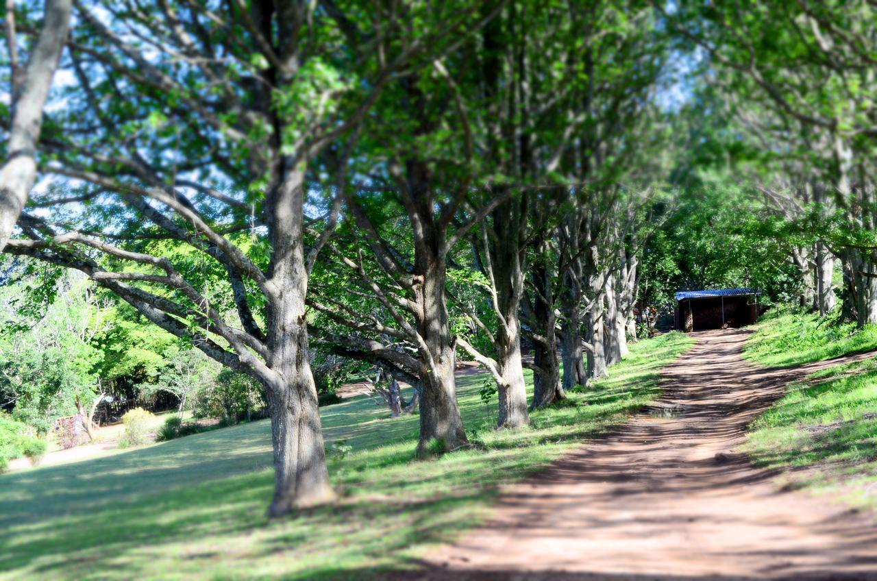 Вілла Phezulu Safari Park Botha's Hill Екстер'єр фото